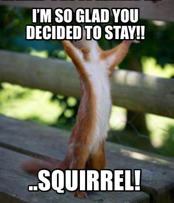 im-so-glad-you-decided-to-stay-..squirrel