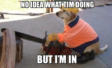 no-idea-what-tim-doing-but-im-in