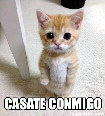 casate-conmigo9