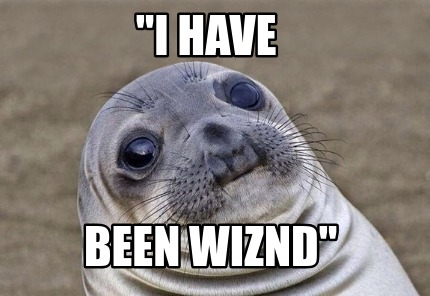 i-have-been-wiznd