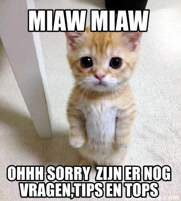 miaw-miaw-ohhh-sorry-zijn-er-nog-vragentips-en-tops