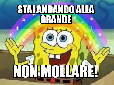 stai-andando-alla-grande-non-mollare