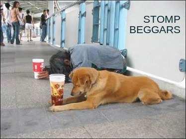 stomp-beggars