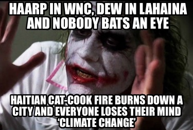 haarp-in-wnc-dew-in-lahaina-and-nobody-bats-an-eye-haitian-cat-cook-fire-burns-d