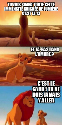 tu-vois-simba-toute-cette-immensit-baigne-de-lumire-cest-le-13-et-l-bas-dans-lom