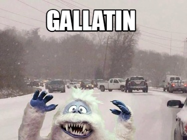 gallatin