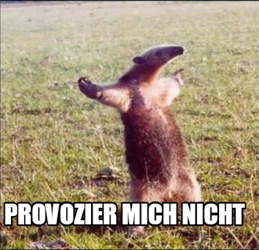 provozier-mich-nicht