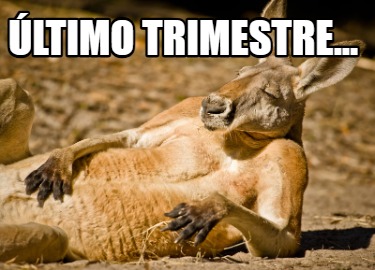 ltimo-trimestre