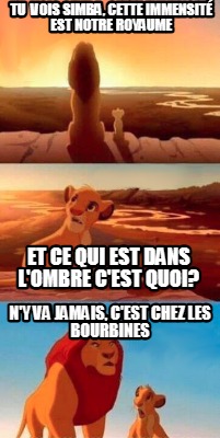 tu-vois-simba-cette-immensit-est-notre-royaume-ny-va-jamais-cest-chez-les-bourbi