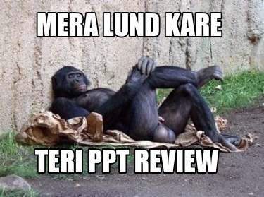 mera-lund-kare-teri-ppt-review