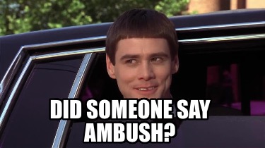 did-someone-say-ambush