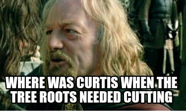 where-was-curtis-when-the-tree-roots-needed-cutting