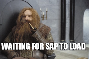 waiting-for-sap-to-load