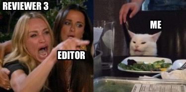 reviewer-3-editor-me