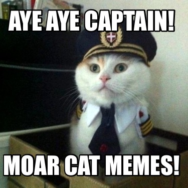 aye-aye-captain-moar-cat-memes