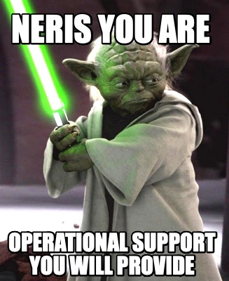 neris-you-are-operational-support-you-will-provide