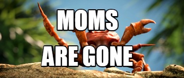 moms-are-gone