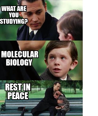 what-are-you-studying-molecular-biology-rest-in-peace