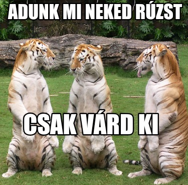 adunk-mi-neked-rzst-csak-vrd-ki