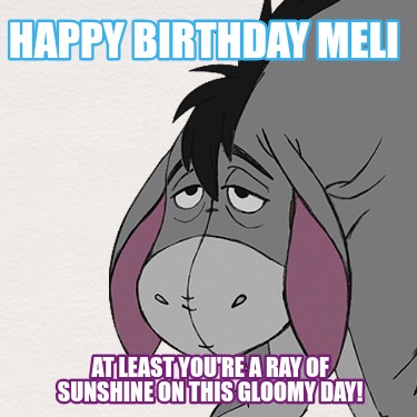 happy-birthday-meli-at-least-youre-a-ray-of-sunshine-on-this-gloomy-day