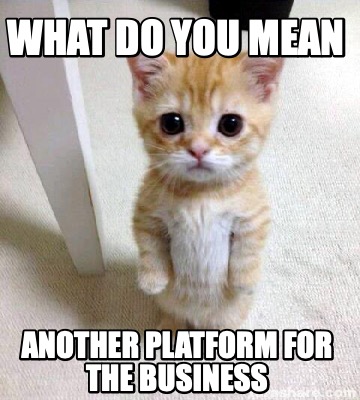 what-do-you-mean-another-platform-for-the-business