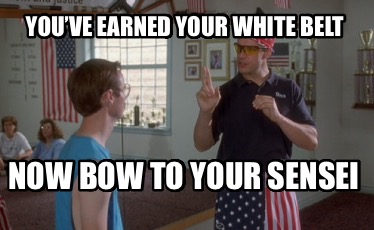 youve-earned-your-white-belt-now-bow-to-your-sensei7