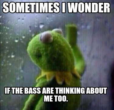 sometimes-i-wonder-if-the-bass-are-thinking-about-me-too1