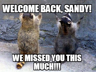 welcome-back-sandy-we-missed-you-this-much