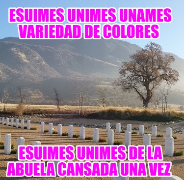 esuimes-unimes-unames-variedad-de-colores-esuimes-unimes-de-la-abuela-cansada-un