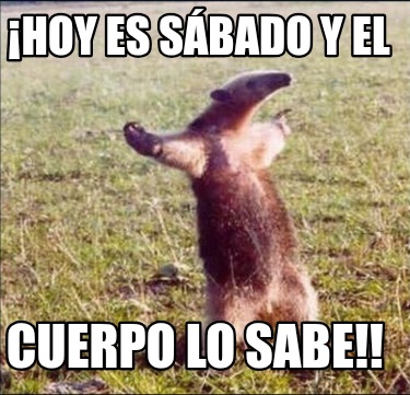 hoy-es-sbado-y-el-cuerpo-lo-sabe