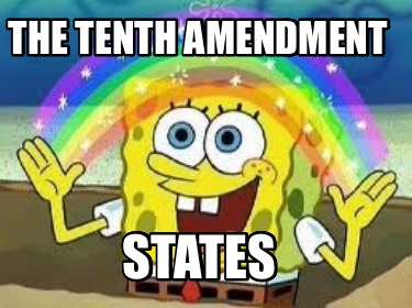 the-tenth-amendment-states