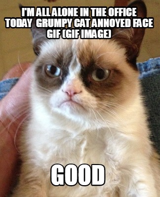 im-all-alone-in-the-office-today-grumpy-cat-annoyed-face-gif-gif-image-good