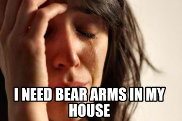 i-need-bear-arms-in-my-house