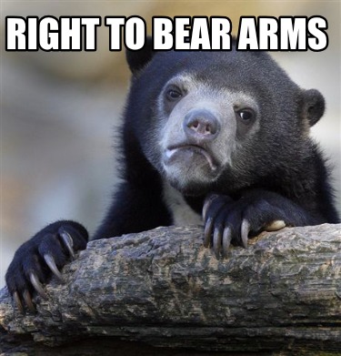 right-to-bear-arms64