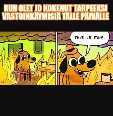 kun-olet-jo-kokenut-tarpeeksi-vastoinkymisi-tlle-pivlle