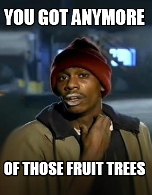 you-got-anymore-of-those-fruit-trees