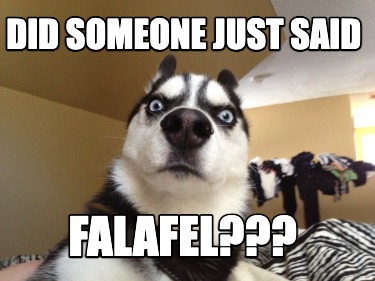 did-someone-just-said-falafel