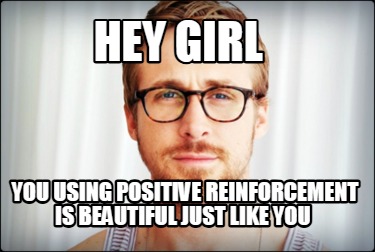 hey-girl-you-using-positive-reinforcement-is-beautiful-just-like-you