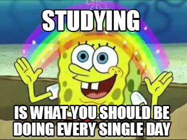 studying-is-what-you-should-be-doing-every-single-day