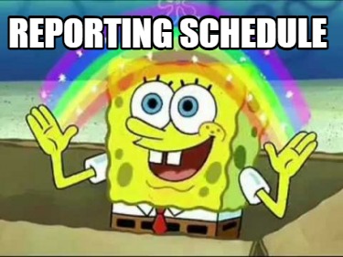 reporting-schedule