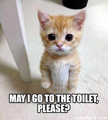 may-i-go-to-the-toilet-please6