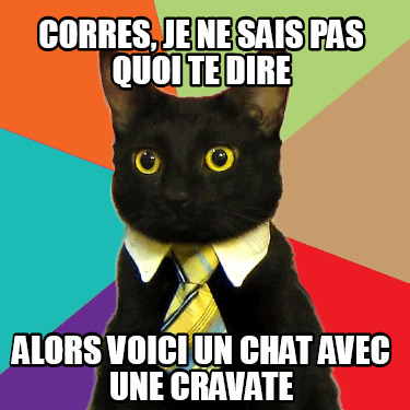 corres-je-ne-sais-pas-quoi-te-dire-alors-voici-un-chat-avec-une-cravate