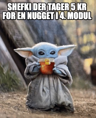 shefki-der-tager-5-kr-for-en-nugget-i-4.-modul