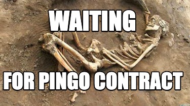 waiting-for-pingo-contract