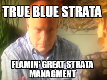 true-blue-strata-flamin-great-strata-managment