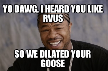 yo-dawg-i-heard-you-like-rvus-so-we-dilated-your-goose