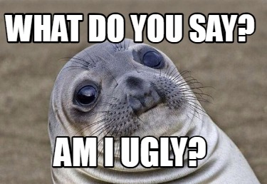 what-do-you-say-am-i-ugly