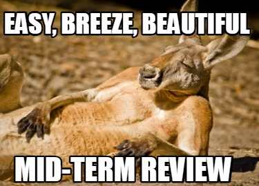 easy-breeze-beautiful-mid-term-review