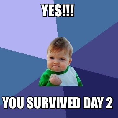 yes-you-survived-day-2