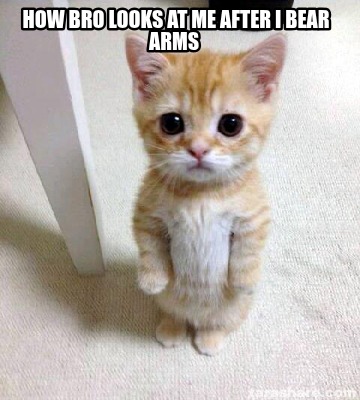 how-bro-looks-at-me-after-i-bear-arms